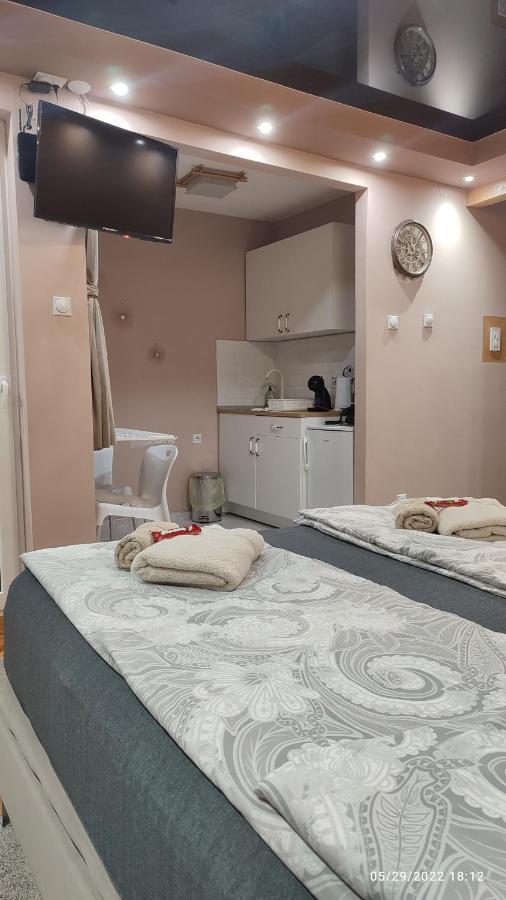 Iva Lux Apartman Зайечар Екстериор снимка